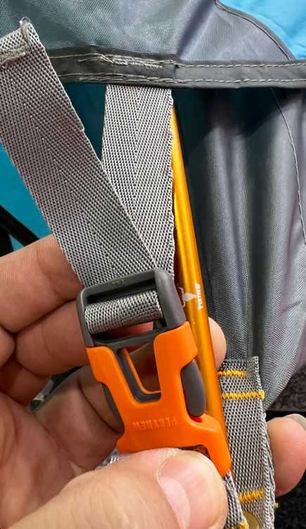 پکینیو کله گاوی